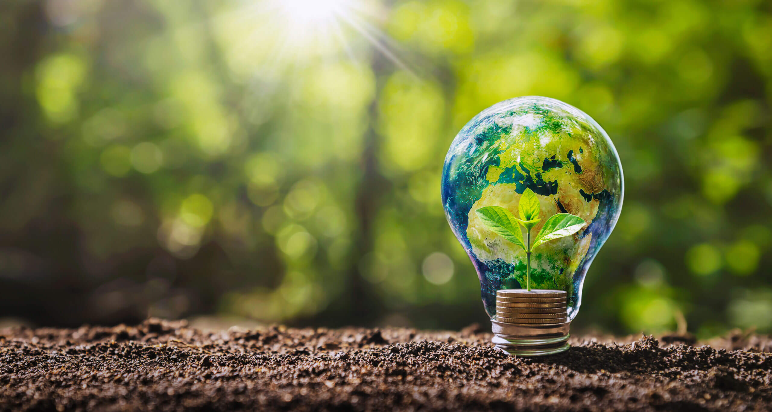 Earth lightbulb with sprout on soil